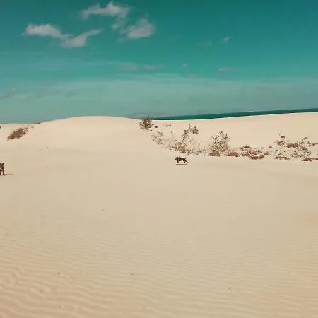 Desert Of Love Fuerteventura Costa Calma